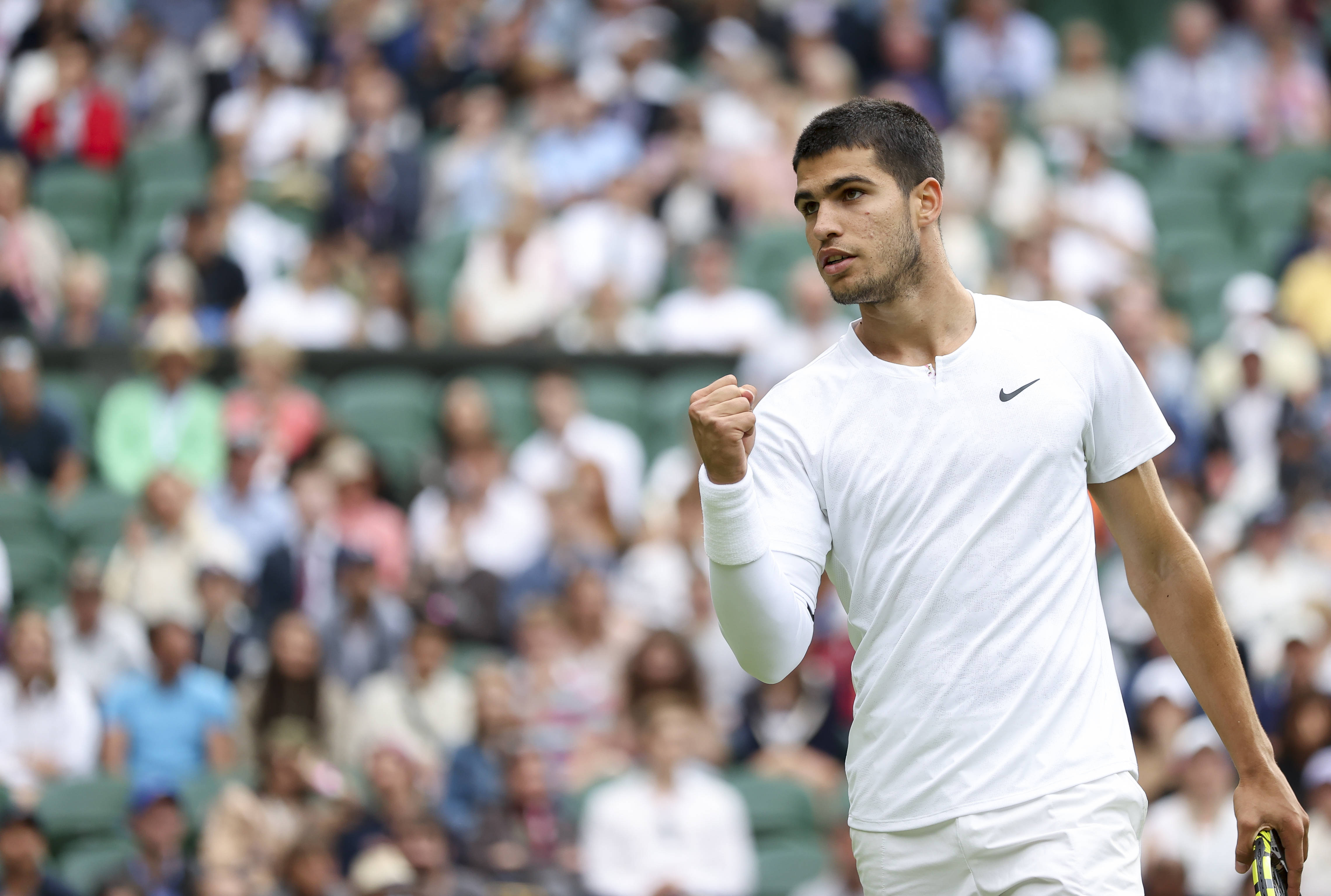 情与活力的 情与活力的